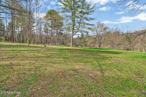 Tiny photo for 239 Doc Huling Rd, Robbins, TN 37852 (MLS # 1333563)