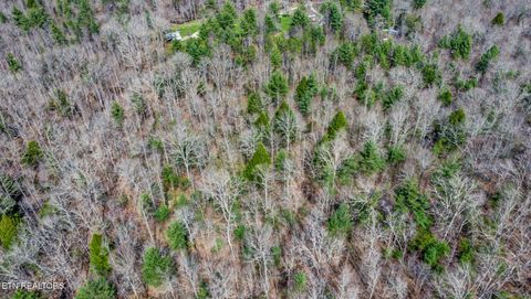 Tiny photo for 239 Doc Huling Rd, Robbins, TN 37852 (MLS # 1333563)