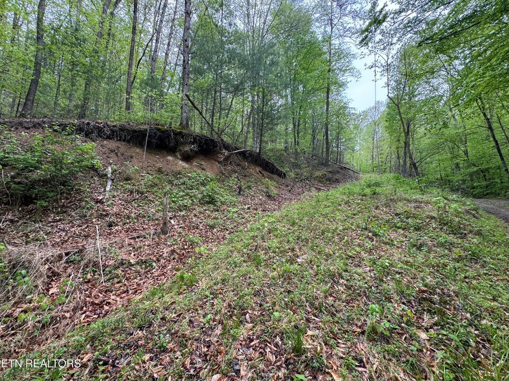 Photo of 376 Summer House Hollow Rd, Del Rio, TN 37727 (MLS # 1299035)