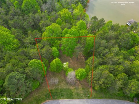 Photo of 768 Wood Duck Drive, Vonore, TN 37885 (MLS # 1329655)
