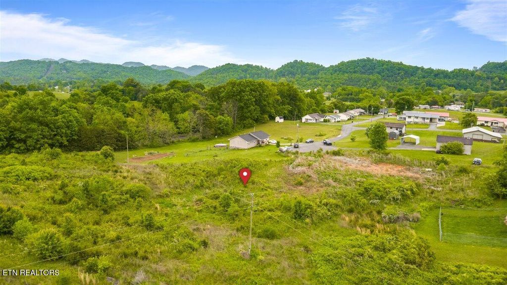 Photo of Jean Woods, Tazewell, TN 37879 (MLS # 1340330)