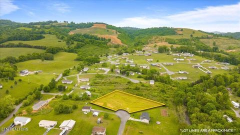 Photo of Jean Woods, Tazewell, TN 37879 (MLS # 1340330)