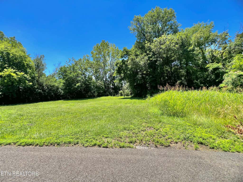 Photo of 3309 Pilkay Rd, Knoxville, TN 37919 (MLS # 1345239)