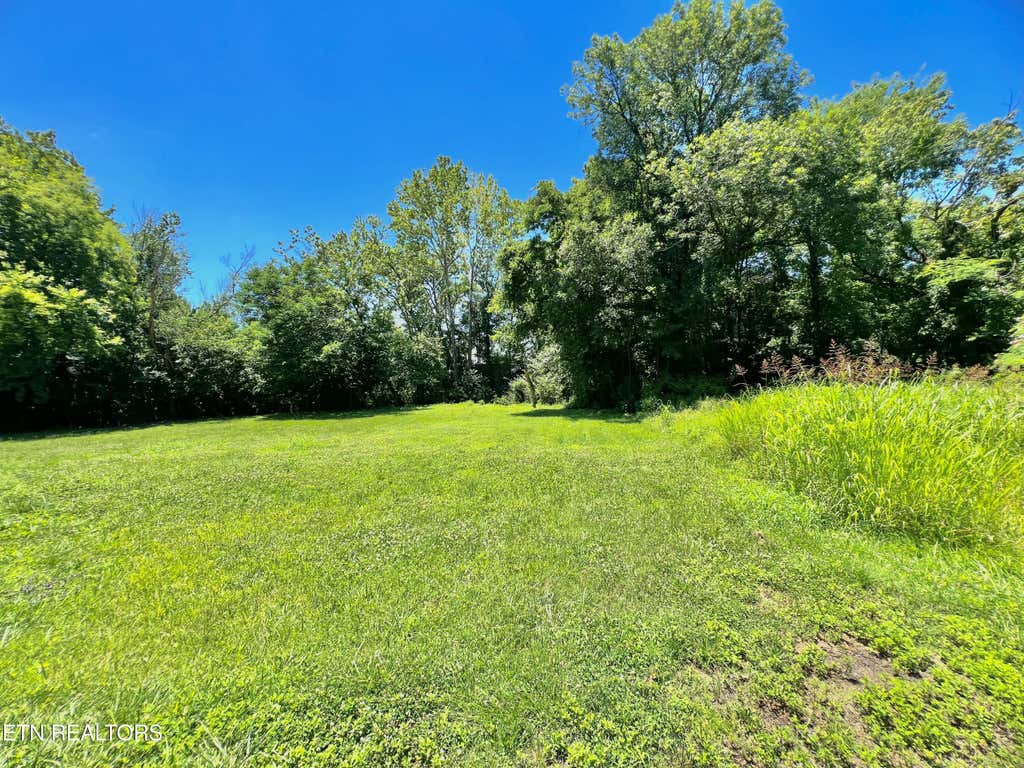 Photo of 3309 Pilkay Rd, Knoxville, TN 37919 (MLS # 1345239)