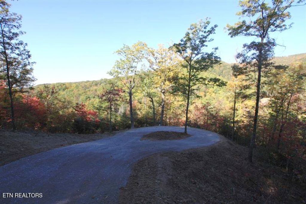 Photo of 0 Fern Point Dr, Sevierville, TN 37862 (MLS # 1319418)