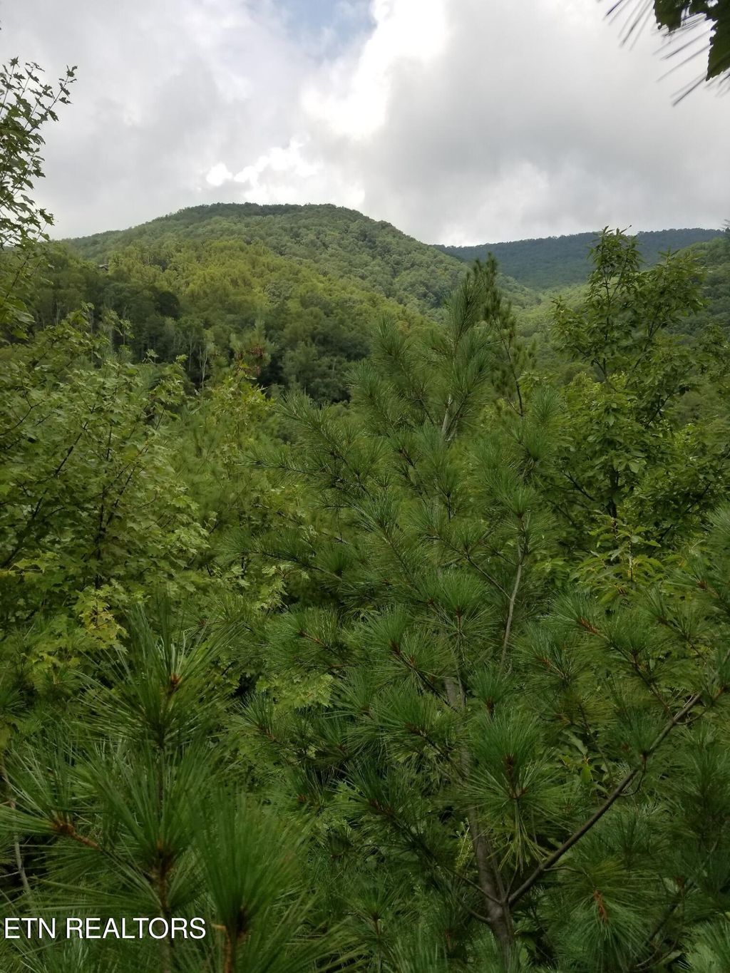 Photo of 0 Fern Point Dr, Sevierville, TN 37862 (MLS # 1319418)