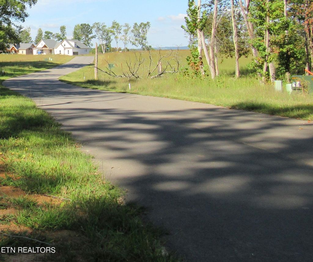 Photo of Sunset Blvd Lots 63 &amp; 64, White Pine, TN 37890 (MLS # 1240865)
