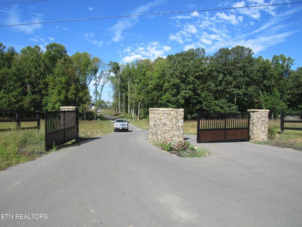 Photo of Sunset Blvd Lots 63 &amp; 64, White Pine, TN 37890 (MLS # 1240865)