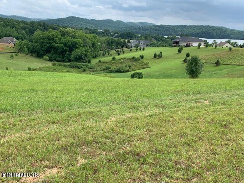 Photo of 213 Majestic View Drive, Rockwood, TN 37854 (MLS # 1333783)