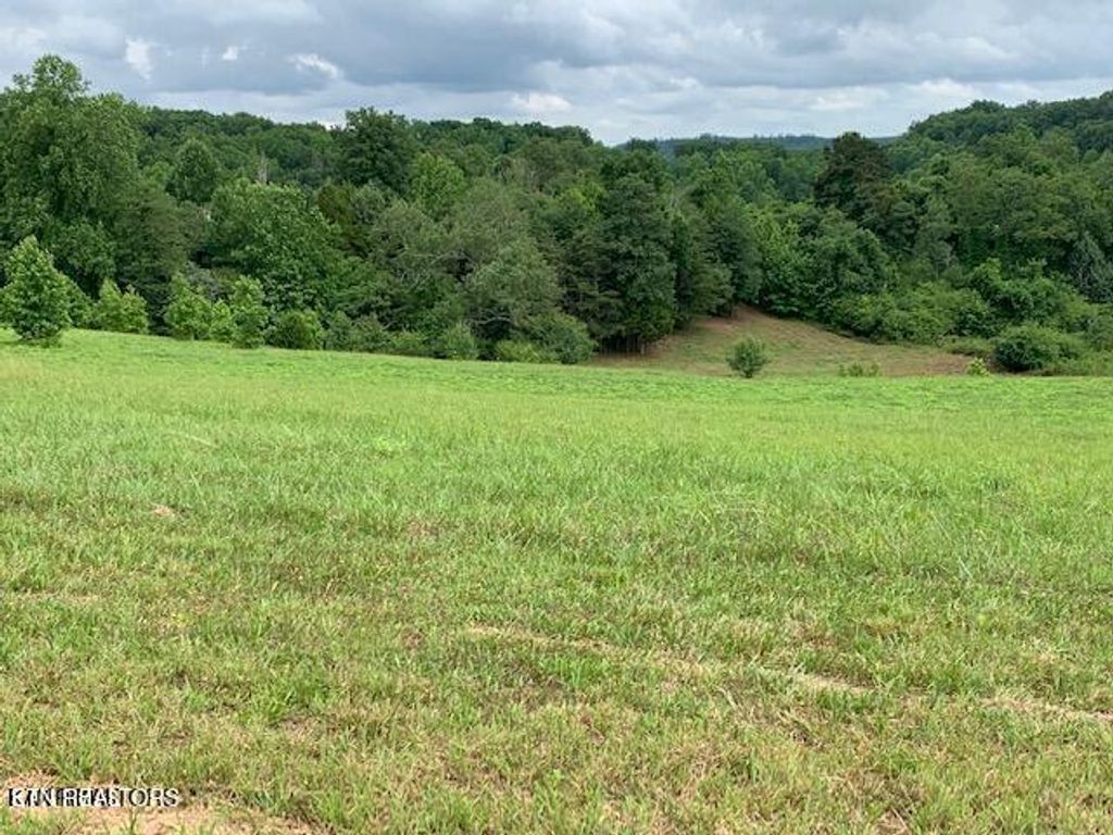 Photo of 213 Majestic View Drive, Rockwood, TN 37854 (MLS # 1333783)