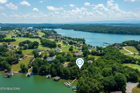 Tiny photo for 30 Pineberry Court, Vonore, TN 37885 (MLS # 1308668)