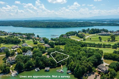 Tiny photo for 30 Pineberry Court, Vonore, TN 37885 (MLS # 1308668)
