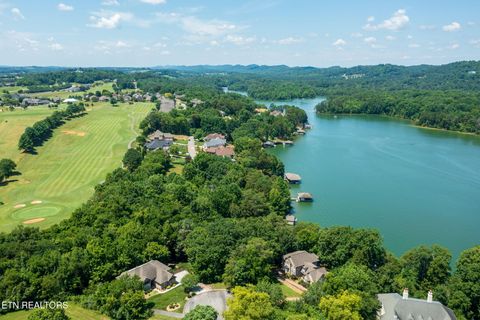 Tiny photo for 30 Pineberry Court, Vonore, TN 37885 (MLS # 1308668)