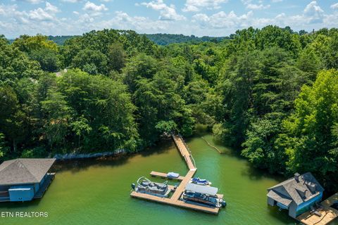 Tiny photo for 30 Pineberry Court, Vonore, TN 37885 (MLS # 1308668)