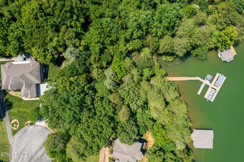 Tiny photo for 30 Pineberry Court, Vonore, TN 37885 (MLS # 1308668)