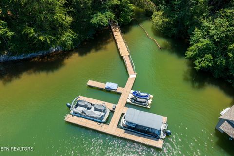 Tiny photo for 30 Pineberry Court, Vonore, TN 37885 (MLS # 1308668)