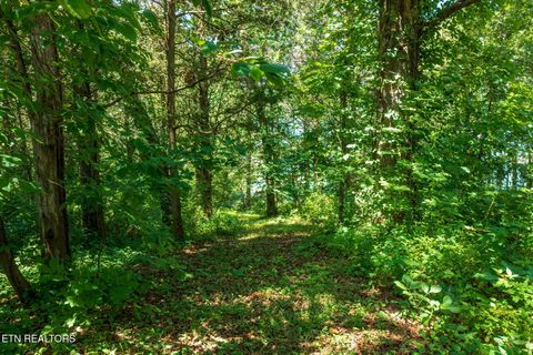 Tiny photo for 30 Pineberry Court, Vonore, TN 37885 (MLS # 1308668)