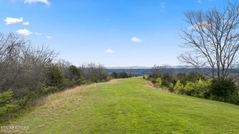 3608 Nina Hills Drive White Pine TN 37890