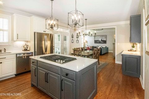 Tiny photo for 917 Blackstone Drive, Knoxville, TN 37934 (MLS # 1337095)