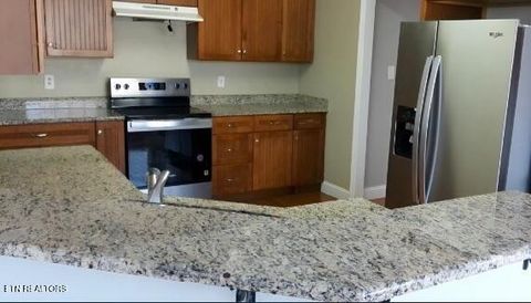 Tiny photo for 4503 Christine Lynnae St, Knoxville, TN 37938 (MLS # 1332079)