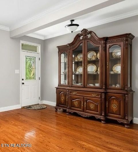 Tiny photo for 4503 Christine Lynnae St, Knoxville, TN 37938 (MLS # 1332079)