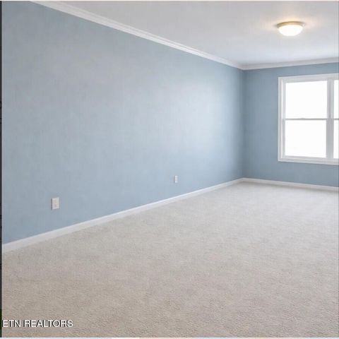 Tiny photo for 4503 Christine Lynnae St, Knoxville, TN 37938 (MLS # 1332079)