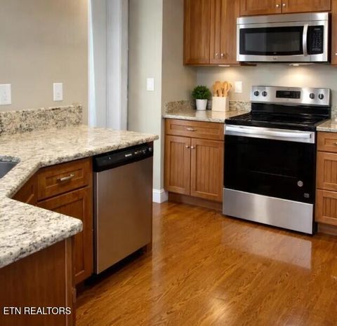 Tiny photo for 4503 Christine Lynnae St, Knoxville, TN 37938 (MLS # 1332079)