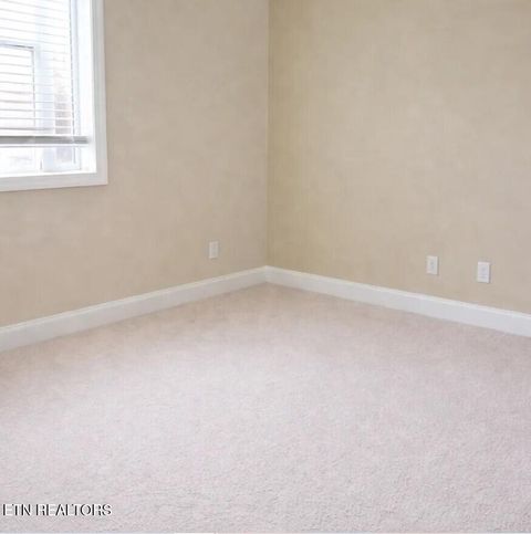 Tiny photo for 4503 Christine Lynnae St, Knoxville, TN 37938 (MLS # 1332079)