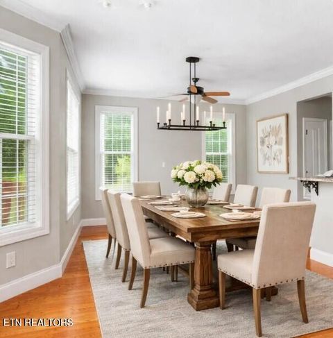 Tiny photo for 4503 Christine Lynnae St, Knoxville, TN 37938 (MLS # 1332079)