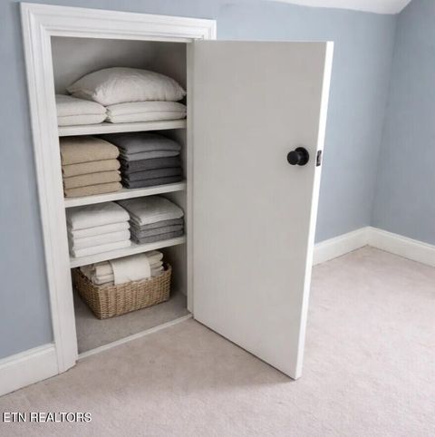 Tiny photo for 4503 Christine Lynnae St, Knoxville, TN 37938 (MLS # 1332079)