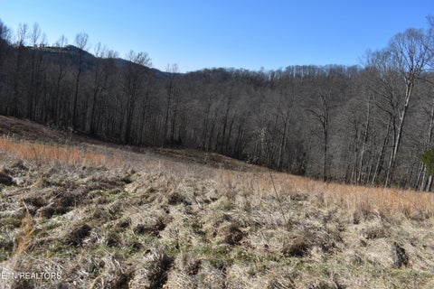 Tiny photo for 787 Oak Grove Rd, Harrogate, TN 37752 (MLS # 1360087)