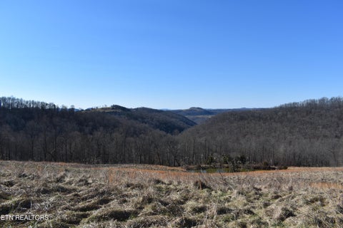 Tiny photo for 787 Oak Grove Rd, Harrogate, TN 37752 (MLS # 1360087)