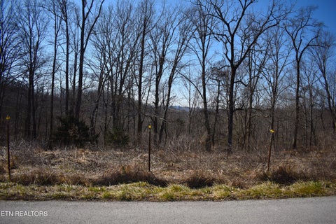 Tiny photo for 787 Oak Grove Rd, Harrogate, TN 37752 (MLS # 1360087)