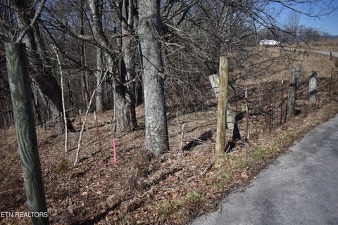 Tiny photo for 787 Oak Grove Rd, Harrogate, TN 37752 (MLS # 1360087)