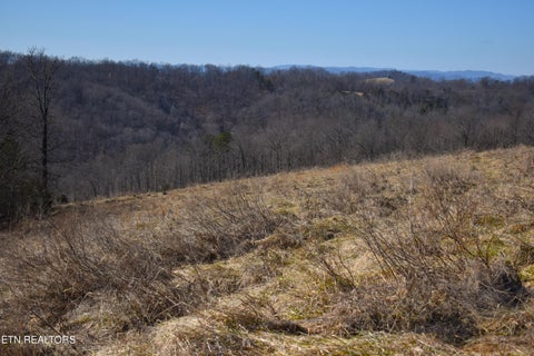 Tiny photo for 787 Oak Grove Rd, Harrogate, TN 37752 (MLS # 1360087)