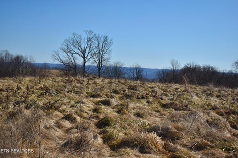 Tiny photo for 787 Oak Grove Rd, Harrogate, TN 37752 (MLS # 1360087)