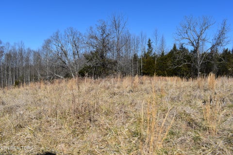 Tiny photo for 787 Oak Grove Rd, Harrogate, TN 37752 (MLS # 1360087)