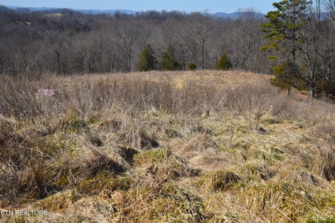 Tiny photo for 787 Oak Grove Rd, Harrogate, TN 37752 (MLS # 1360087)