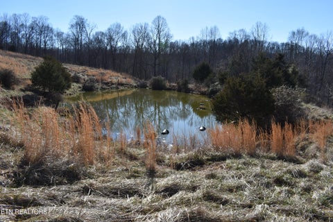 Tiny photo for 787 Oak Grove Rd, Harrogate, TN 37752 (MLS # 1360087)