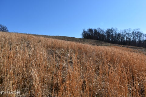 Tiny photo for 787 Oak Grove Rd, Harrogate, TN 37752 (MLS # 1360087)