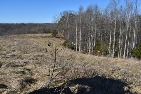 Tiny photo for 787 Oak Grove Rd, Harrogate, TN 37752 (MLS # 1360087)