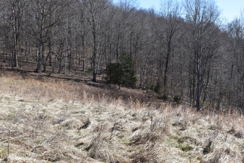 Tiny photo for 787 Oak Grove Rd, Harrogate, TN 37752 (MLS # 1360087)
