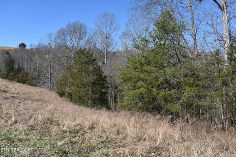 Tiny photo for 787 Oak Grove Rd, Harrogate, TN 37752 (MLS # 1360087)