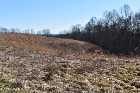 Tiny photo for 787 Oak Grove Rd, Harrogate, TN 37752 (MLS # 1360087)