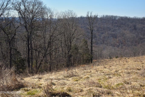 Tiny photo for 787 Oak Grove Rd, Harrogate, TN 37752 (MLS # 1360087)