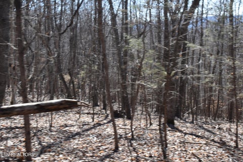 Tiny photo for 787 Oak Grove Rd, Harrogate, TN 37752 (MLS # 1360087)