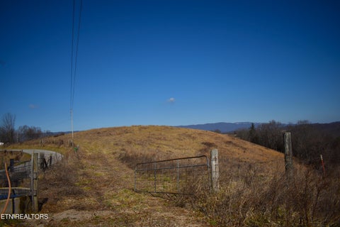 Photo of 787 Oak Grove Rd, Harrogate, TN 37752 (MLS # 1360087)