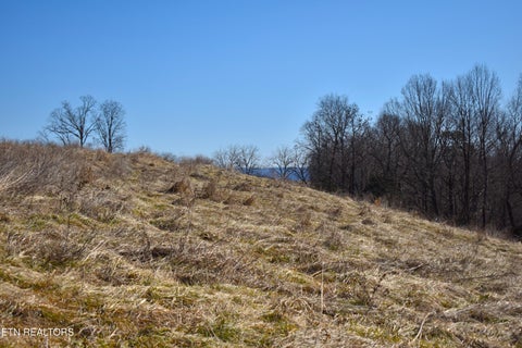 Tiny photo for 787 Oak Grove Rd, Harrogate, TN 37752 (MLS # 1360087)