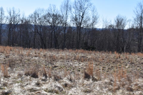 Tiny photo for 787 Oak Grove Rd, Harrogate, TN 37752 (MLS # 1360087)