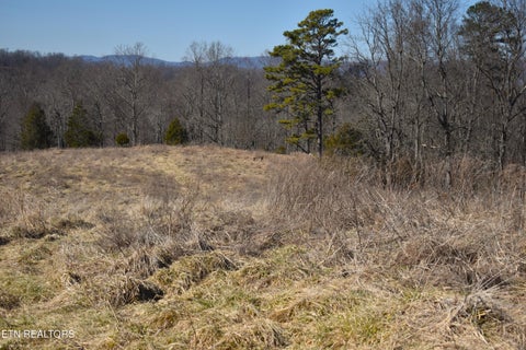 Tiny photo for 787 Oak Grove Rd, Harrogate, TN 37752 (MLS # 1360087)